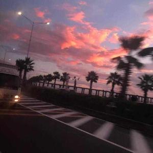 男人和雌性宠物交txt
